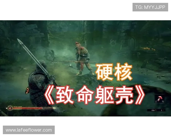 杨秀英独家分享CSGO游戏技巧与心得体会助你提升竞技水平