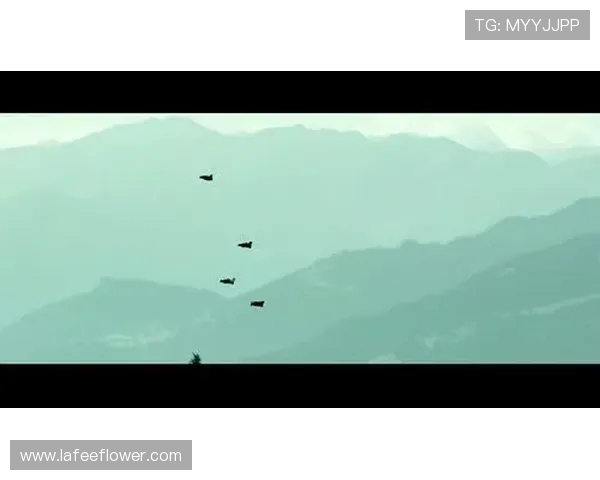 杭州极限运动队的节奏与热潮探秘:极限运动如何引领城市新风尚