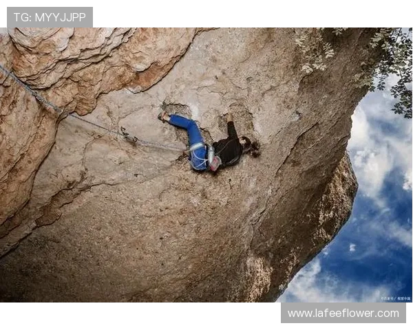 极限运动新手必看：全面力量训练入门指南与技巧分享