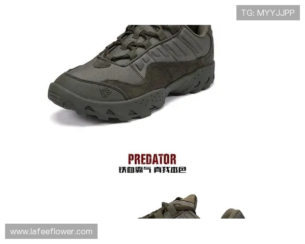 武汉攀岩队的整体压制体系与攀岩战术的深度解析与实践探讨