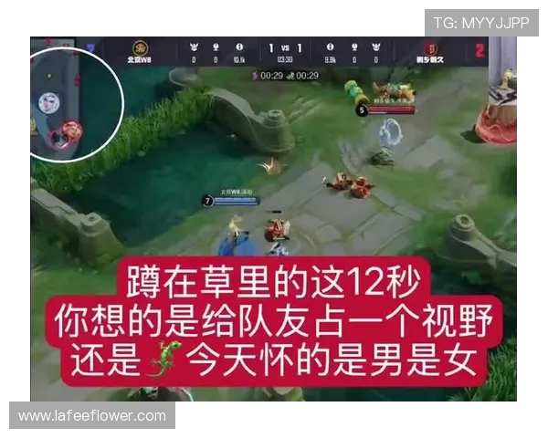 王者荣耀热议：WE战队团队协作引发的争议与反思