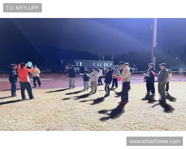 重庆飞盘队灵活性探秘：如何在赛场上展现卓越团队合作与个人技巧