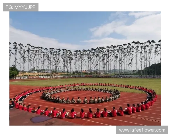 科学飞盘训练：提升心理素质的有效方法与技巧探讨