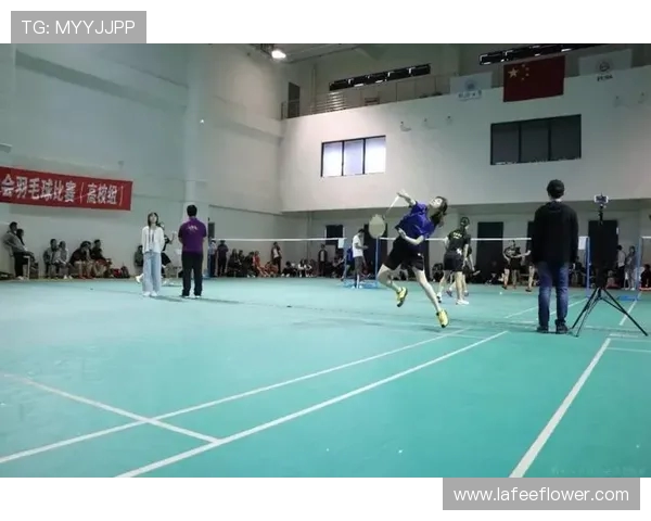 西安羽毛球队的控制革新探索与实践全景分析