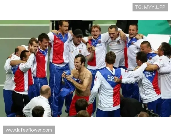 上海网球队在世界杯中的表现分析与状态点评