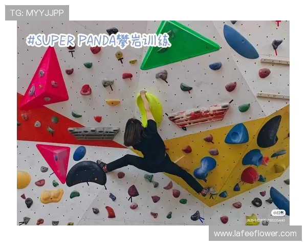 成都攀岩队勇夺最新攀岩耐力TOP10榜首位置引发关注